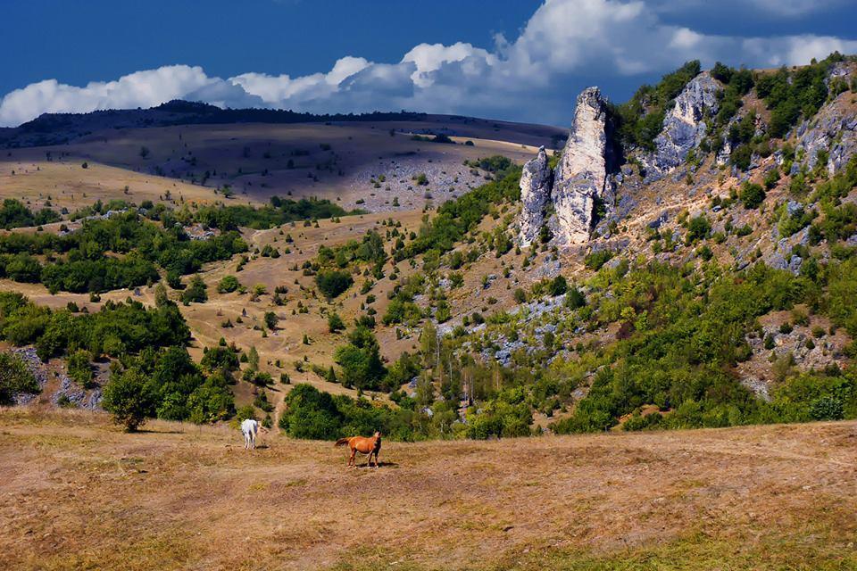 Apartments Stari Jasen Uvac Sjenica Esterno foto